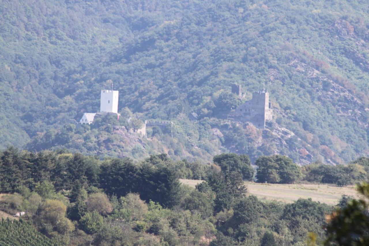 Ferienwohnungen Arnold Boppard Kültér fotó